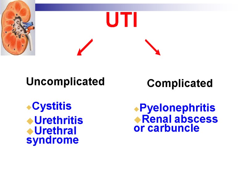 UTI Uncomplicated  Cystitis Urethritis Urethral syndrome Complicated  Pyelonephritis Renal abscess or carbuncle